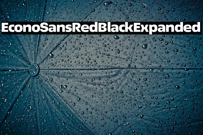 EconoSansRed-93BlackExpanded Example 3