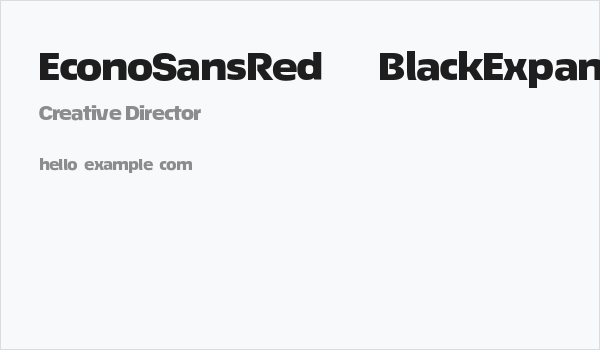 EconoSansRed-93BlackExpanded Business Card