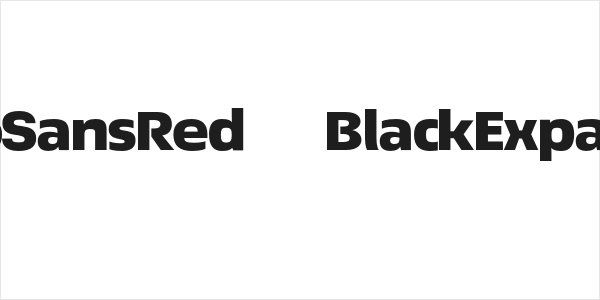 EconoSansRed-93BlackExpanded Logo