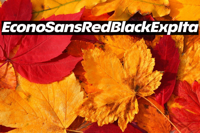 EconoSansRed-94BlackExpIta Example 1