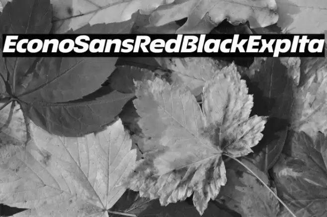 EconoSansRed-94BlackExpIta Font examples