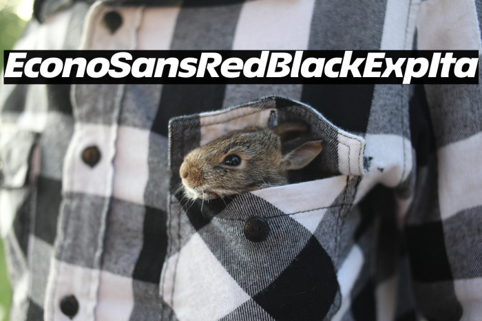 EconoSansRed-94BlackExpIta Example 2