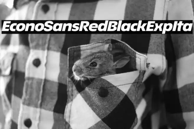 EconoSansRed-94BlackExpIta Font examples