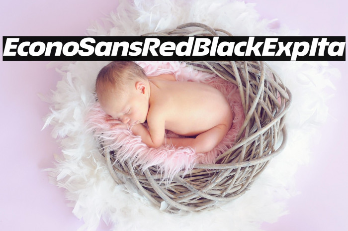 EconoSansRed-94BlackExpIta Example 3