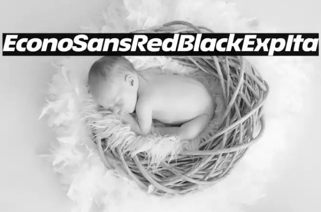 EconoSansRed-94BlackExpIta Font examples