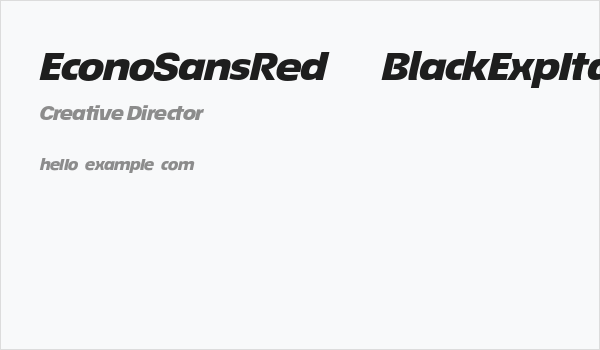 EconoSansRed-94BlackExpIta Business Card