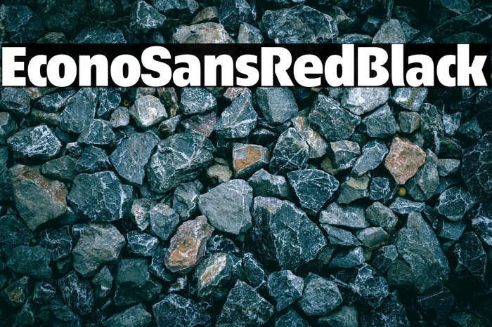 EconoSansRed-95Black Example 1