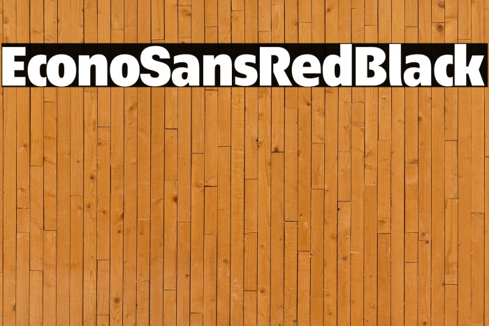 EconoSansRed-95Black Example 2