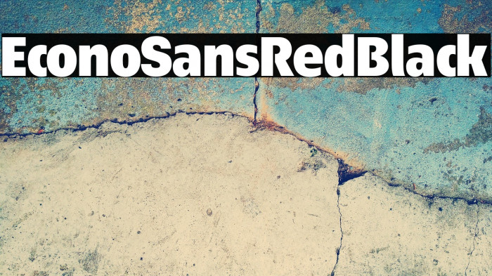 EconoSansRed-95Black Example 3
