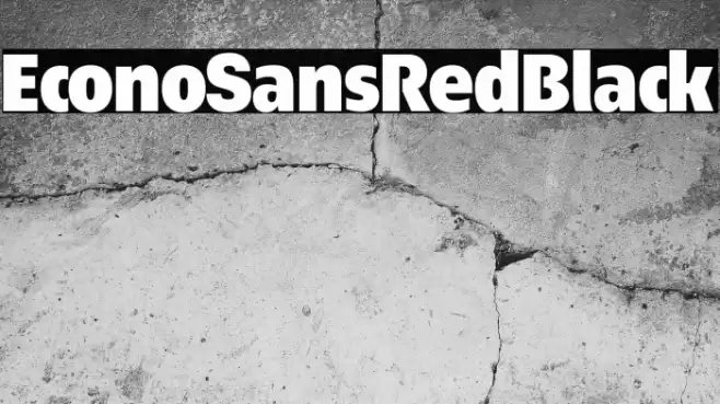 EconoSansRed-95Black Font examples