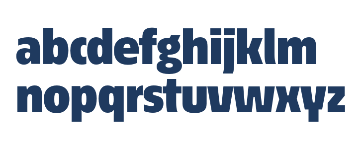 EconoSansRed-95Black Lowercase