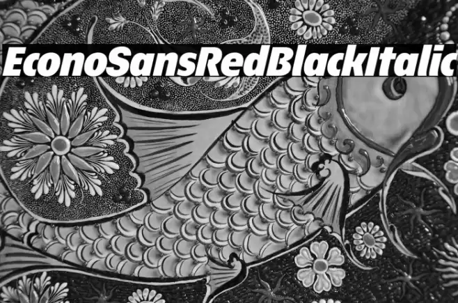 EconoSansRed-96BlackItalic Font examples