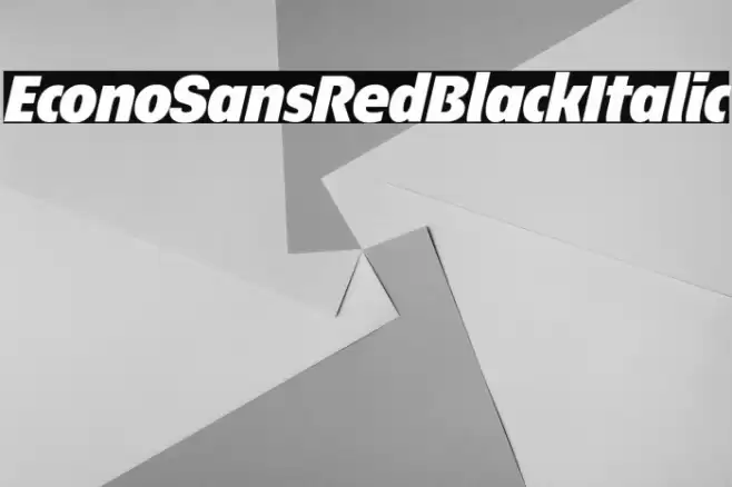 EconoSansRed-96BlackItalic Font examples