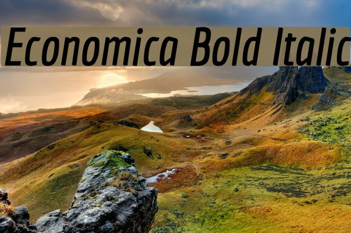 Economica Bold Italic Example 1