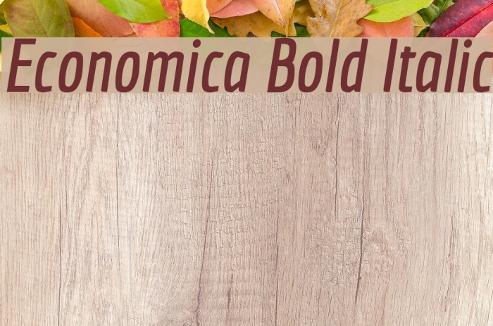 Economica Bold Italic Example 2