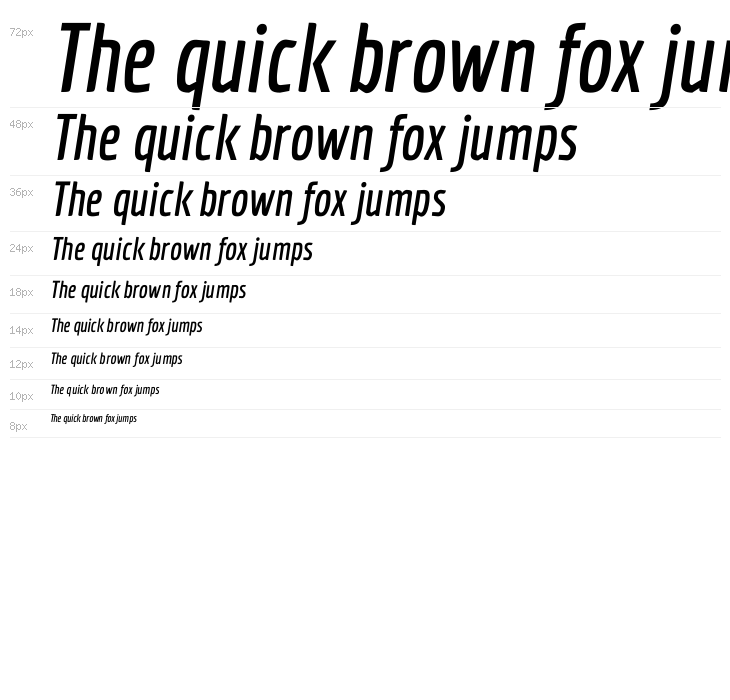 Economica Bold Italic Waterfall