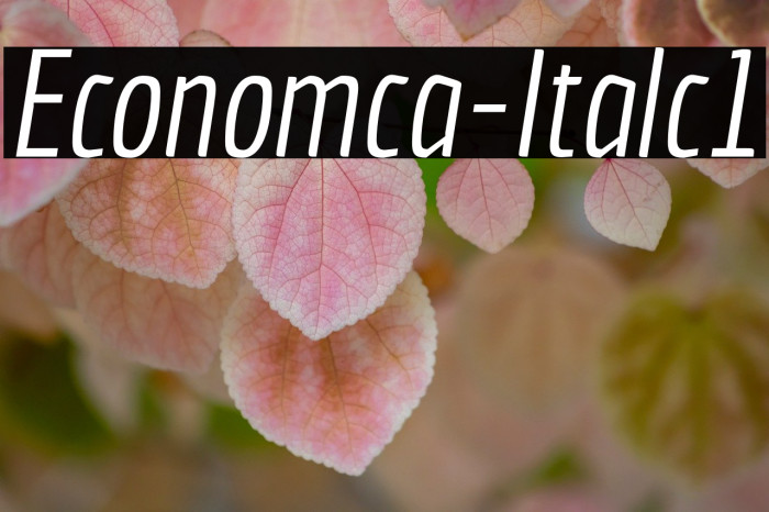 Economica-Italic1 Example 2