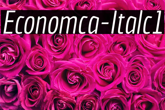 Economica-Italic1 Example 3