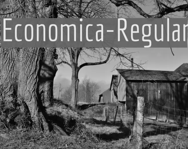 Economica-Regular Example 1