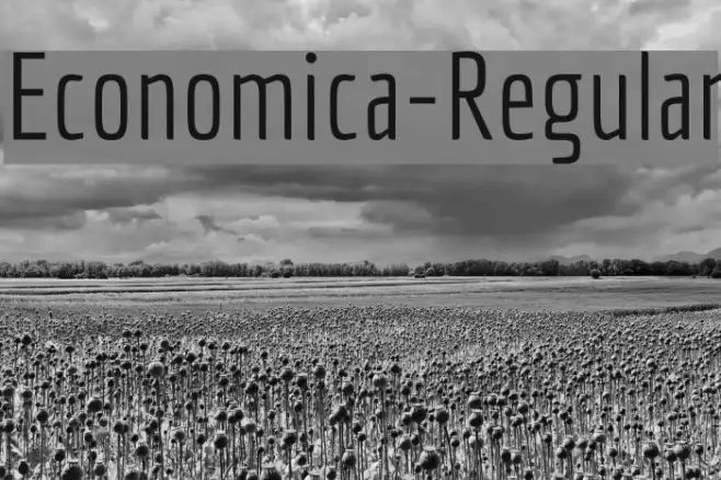 Economica-Regular Example 2