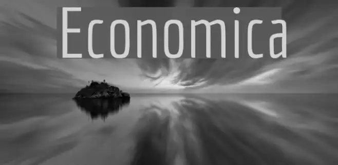 Economica Example 1
