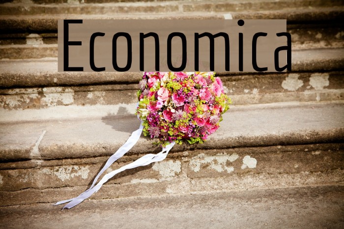 Economica Font examples