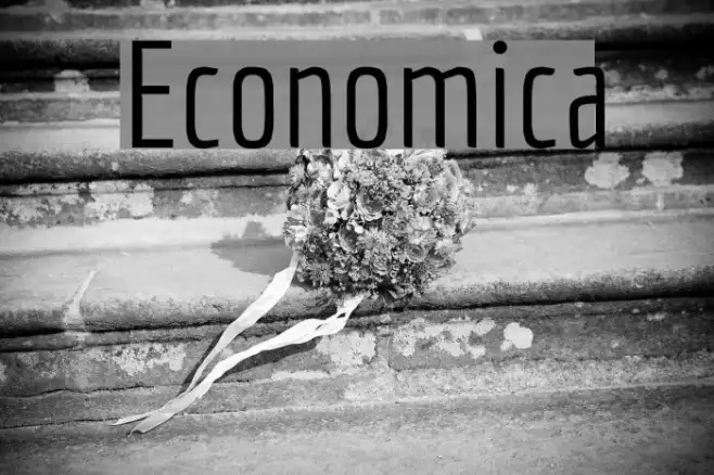 Economica Example 3