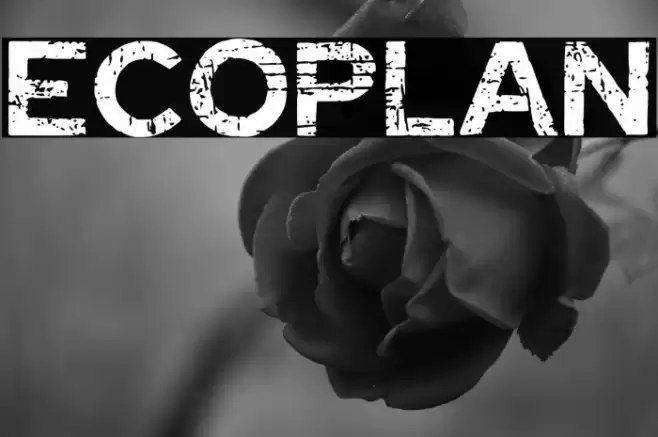 Ecoplan Font examples