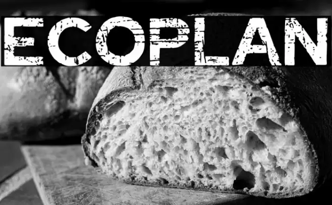 Ecoplan Font examples
