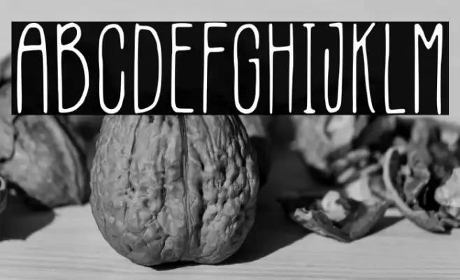 Ecriture Font examples