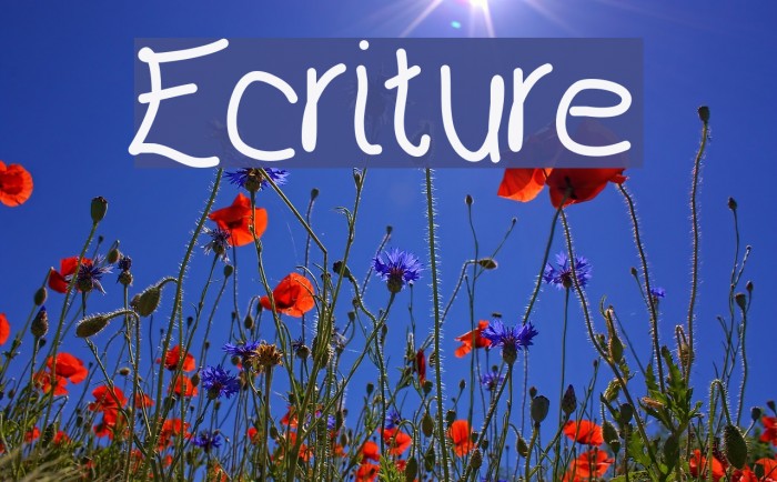 Ecriture Font examples