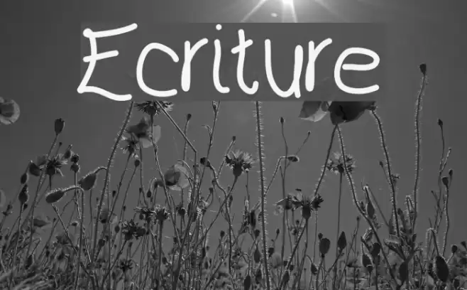 Ecriture Font examples