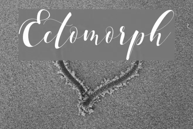 Ectomorph Font examples