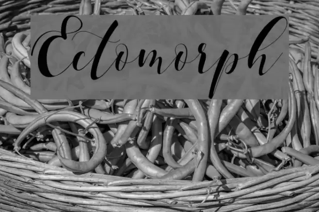 Ectomorph Font examples