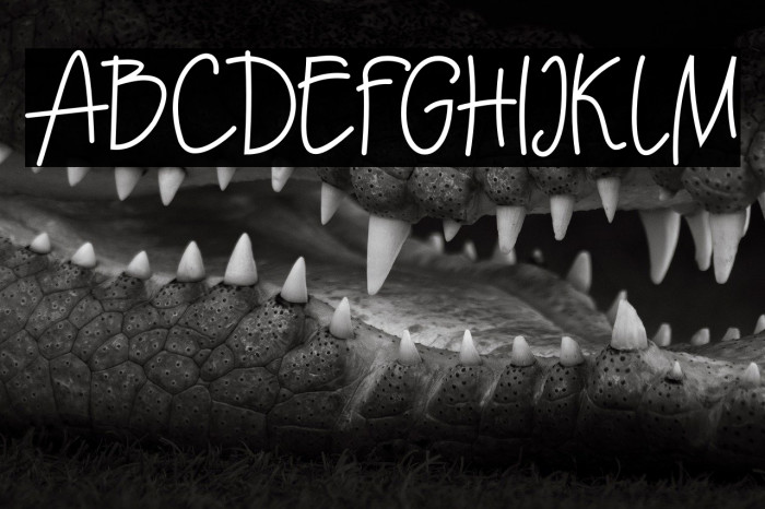 Ecuador  Bold Example 2