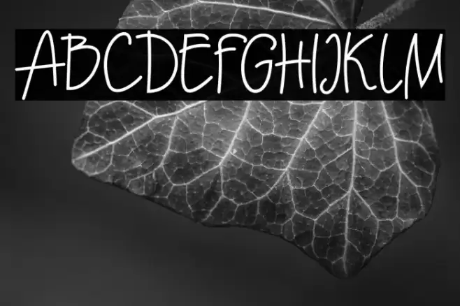 Ecuador  Bold Font examples