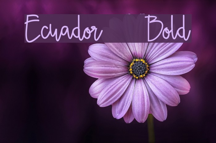 Ecuador Bold Font examples