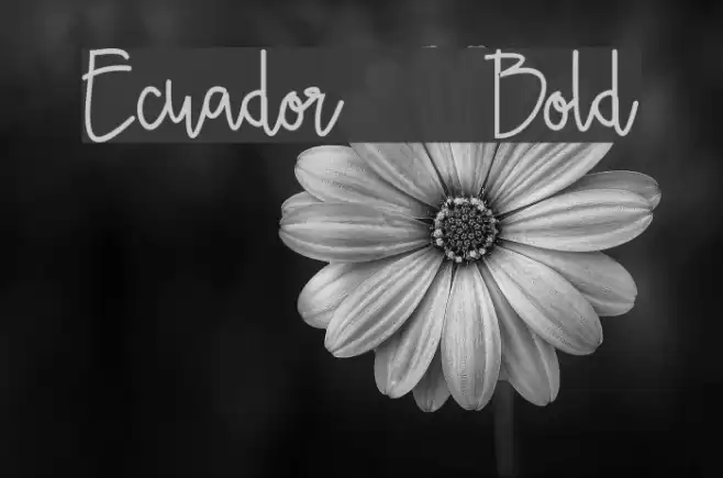 Ecuador  Bold Font examples