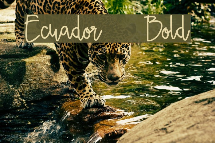 Ecuador Bold Font examples