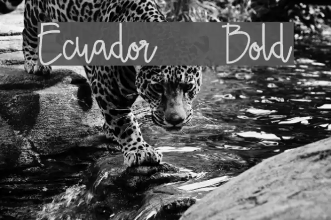 Ecuador  Bold Font examples