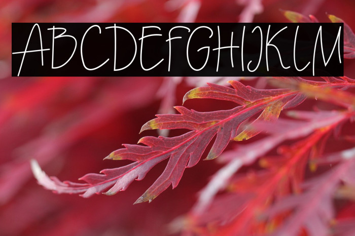 Ecuador Regular Example 2