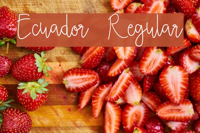 Ecuador Regular Font examples