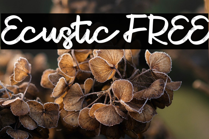 Ecustic FREE Example 3