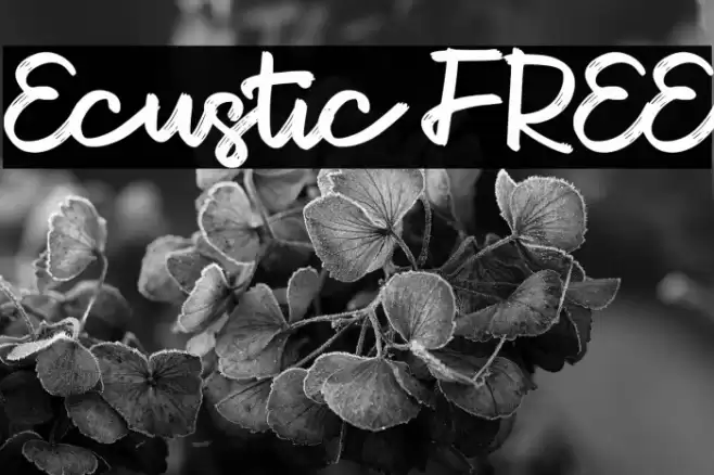 Ecustic FREE Font examples