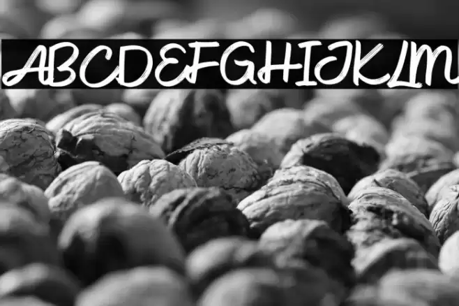 EcusticFREE Font examples
