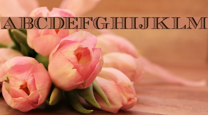 EcuyerDAX Font examples