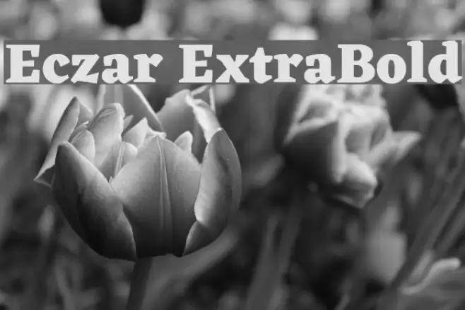 Eczar ExtraBold Font examples