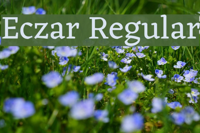 Eczar Regular Font examples