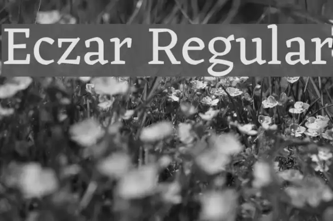 Eczar Regular Example 1
