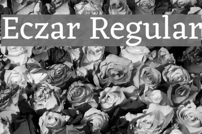 Eczar Regular Example 3